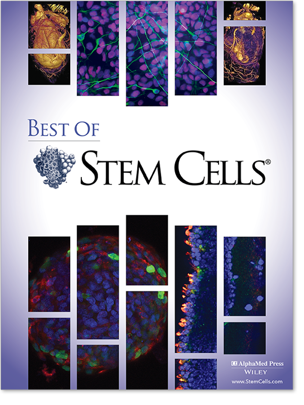 stem cell research paper thesis