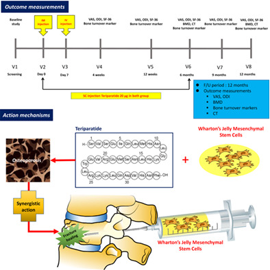 Stem Cells Translational Medicine Wiley Online Library