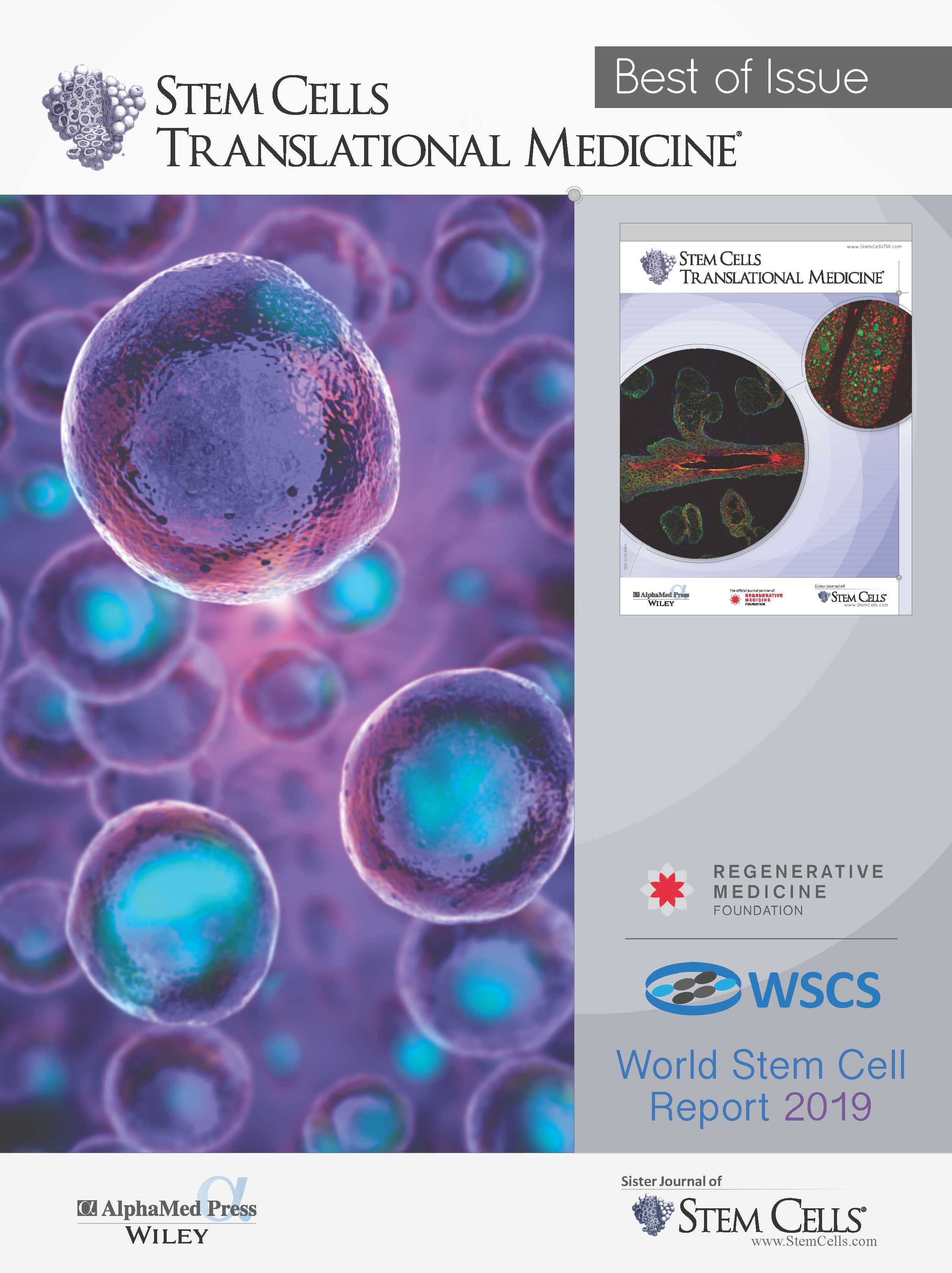 Best of 2018 and World Stem Cell Report STEM CELLS Translational Medicine